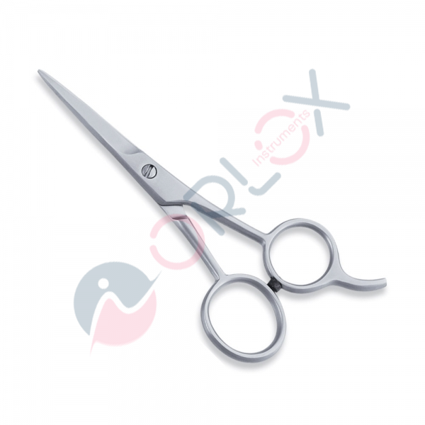 Economy Scissor
