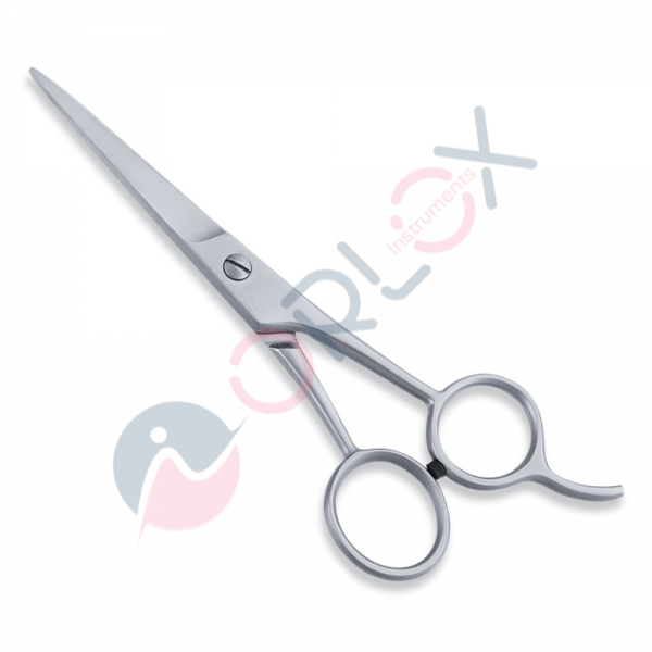 Economy Scissor
