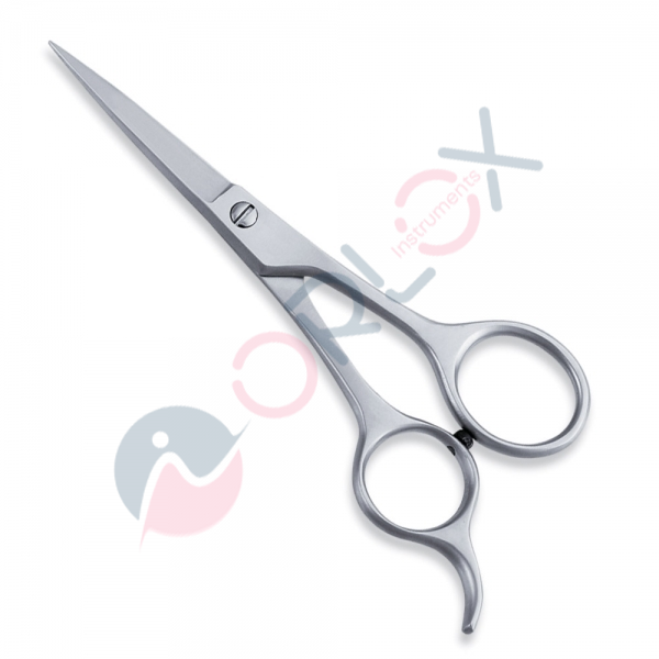 Economy Scissor