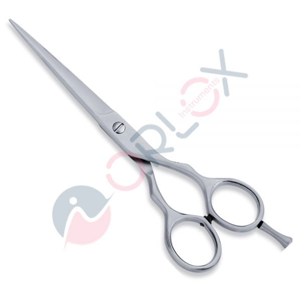 Economy Scissor