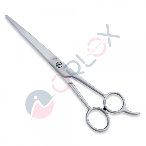 Economy Scissor