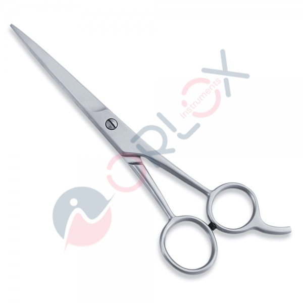Economy Scissor