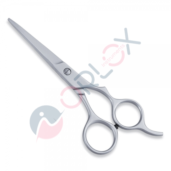 Economy Scissor