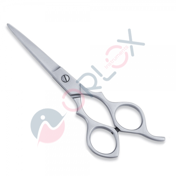 Economy Scissor