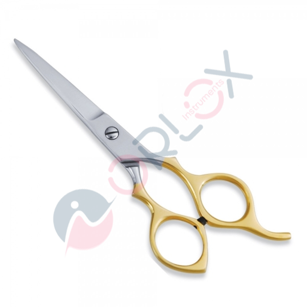 Economy Scissor