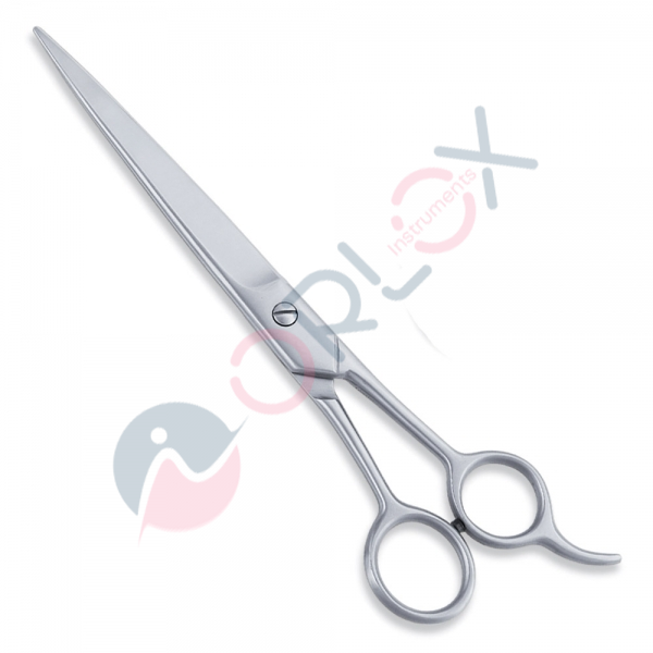 Economy Scissor