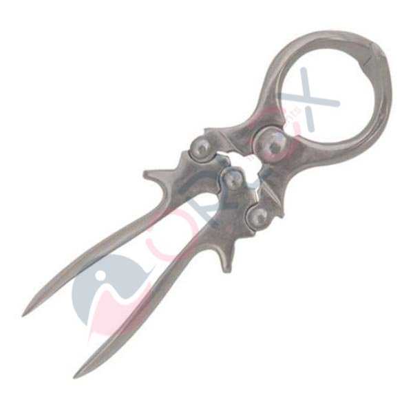 Castration Forceps